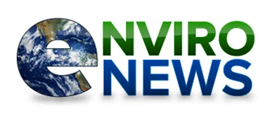 Web Design And Development Services 21 nivro-news.webp